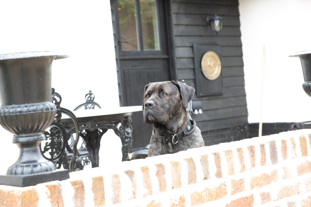 Foxley Group About us